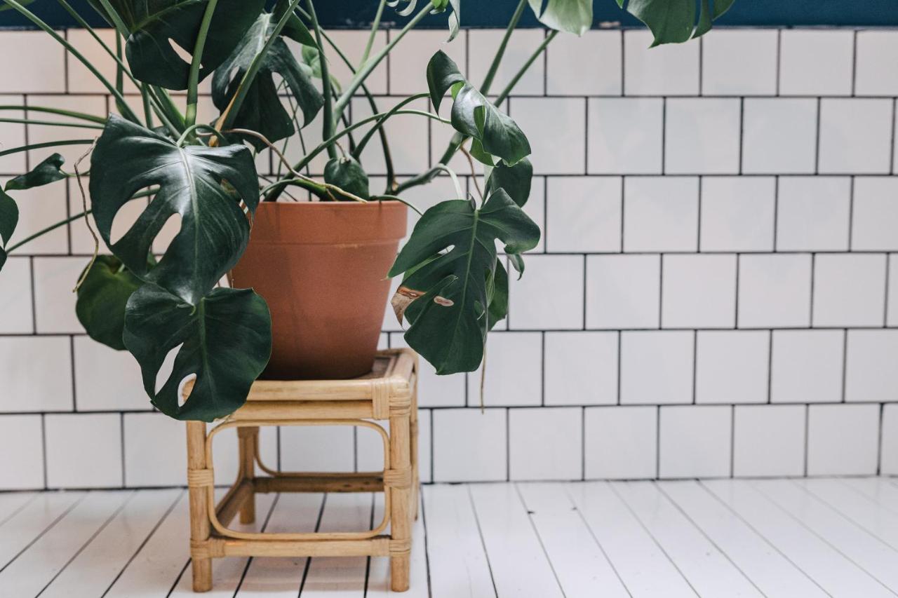 Accommodatie bij particulieren Boho City Loft Antwerpen